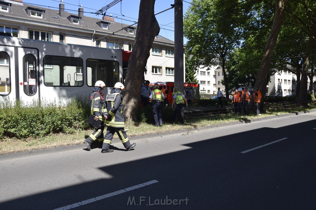 VU Roller KVB Bahn Koeln Luxemburgerstr Neuenhoefer Allee P012.JPG - Miklos Laubert